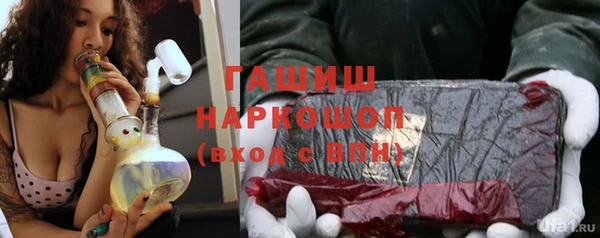 прущие грибы Лабытнанги