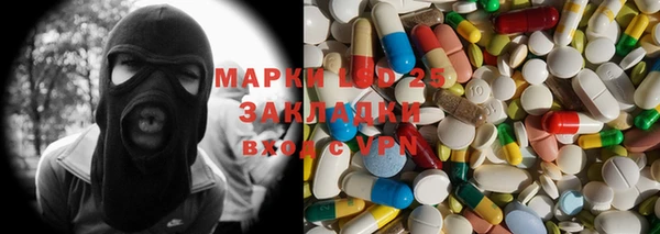 прущие грибы Лабытнанги