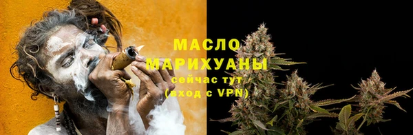 прущие грибы Лабытнанги