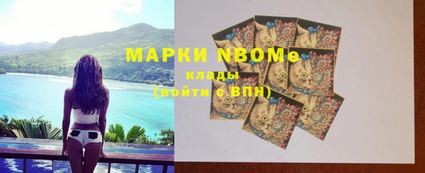 хмурый Лагань