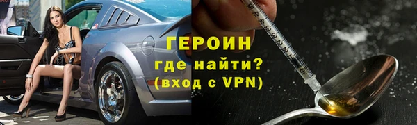 прущие грибы Лабытнанги