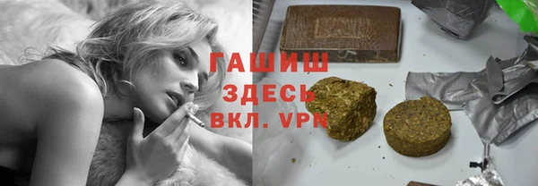 прущие грибы Лабытнанги