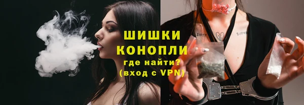 прущие грибы Лабытнанги