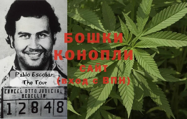прущие грибы Лабытнанги
