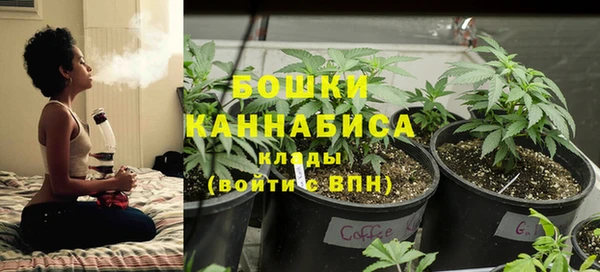 первитин Ладушкин