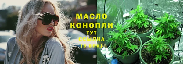 прущие грибы Лабытнанги