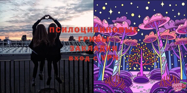 первитин Ладушкин