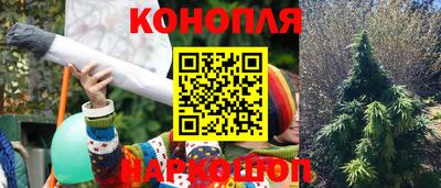 МДПВ Краснодар