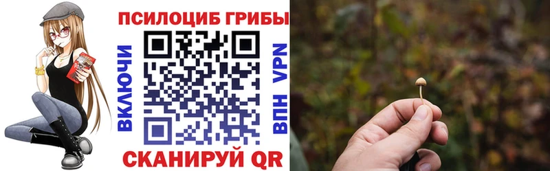 Псилоцибиновые грибы GOLDEN TEACHER Саратов