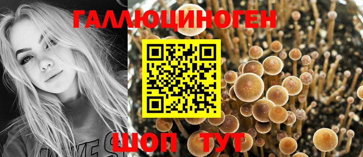 как найти закладки  Вход с VPN  Саратов  Псилоцибиновые грибы мицелий 